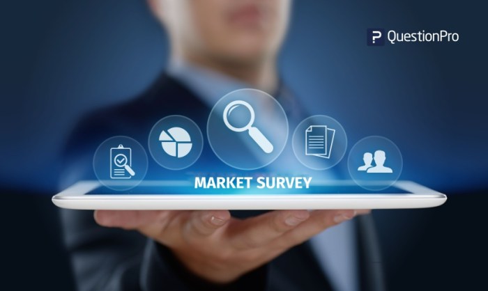 Market survey research surveys what